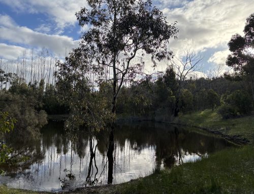 Dam Recovery Grants