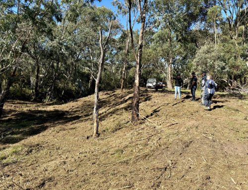 Grassroots Grants Project: Restoring Dawesley Creek