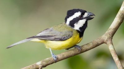 Image courtesy of JJ Harrison